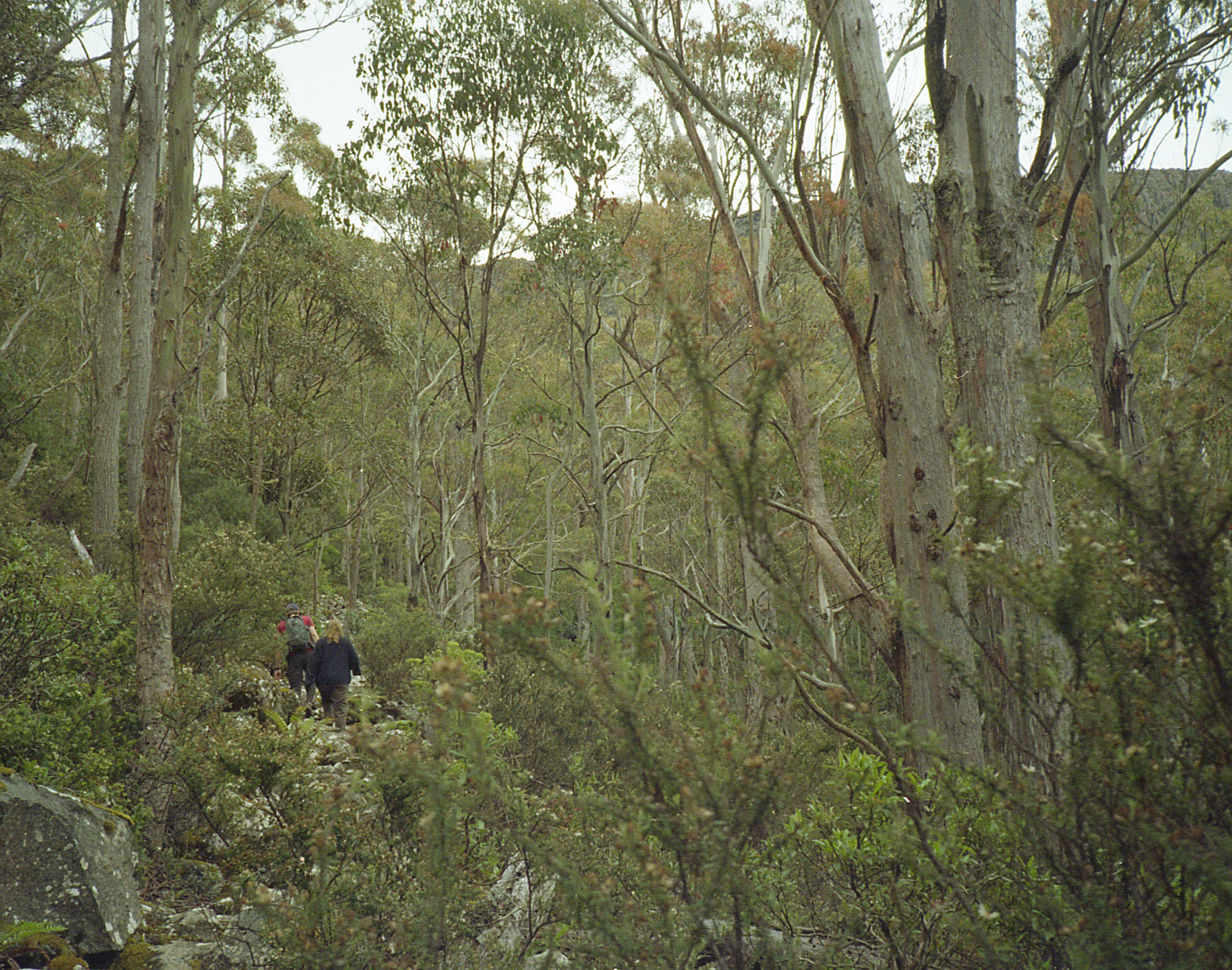 hike